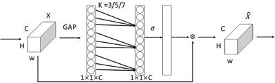 Research and Application of Fine-Grained Image Classification Based on Small Collar Dataset